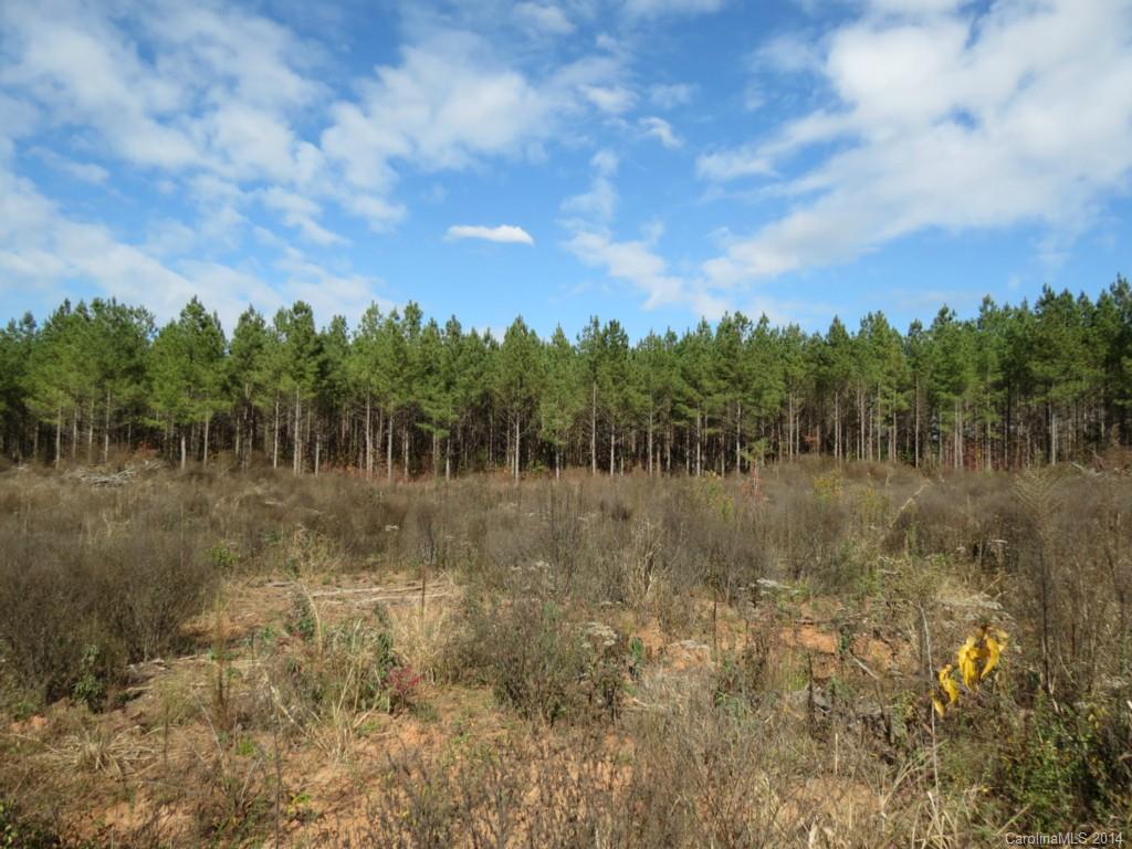14-ac 14-ac Ferndale Road McConnells, SC 29726 - Photo 3 of 24