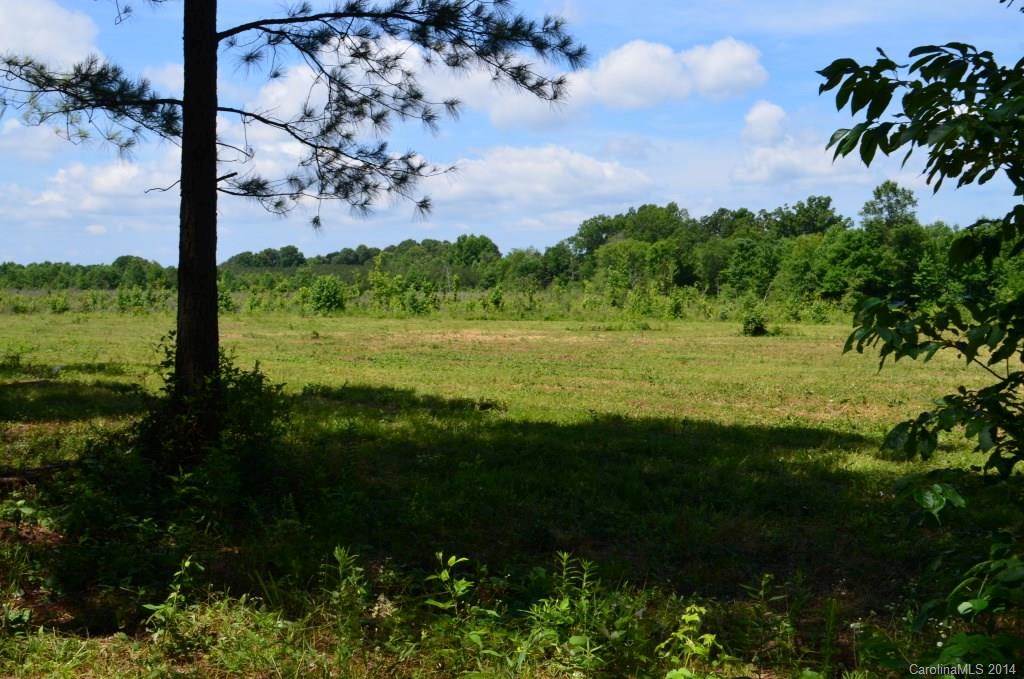 14-ac 14-ac Ferndale Road McConnells, SC 29726 - Photo 22 of 24