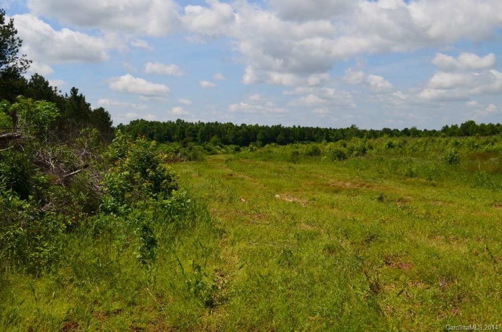 14-ac 14-ac Ferndale Road McConnells, SC 29726 - Photo 23 of 24