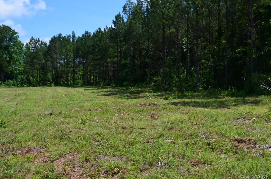 14-ac 14-ac Ferndale Road McConnells, SC 29726 - Photo 24 of 24