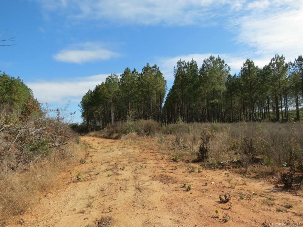 14-ac 14-ac Ferndale Road McConnells, SC 29726 - Photo 5 of 24