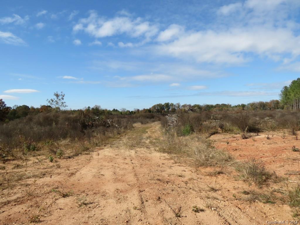 14-ac 14-ac Ferndale Road McConnells, SC 29726 - Photo 6 of 24