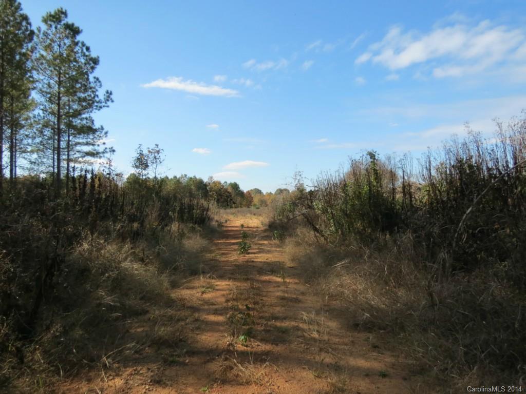 14-ac 14-ac Ferndale Road McConnells, SC 29726 - Photo 7 of 24