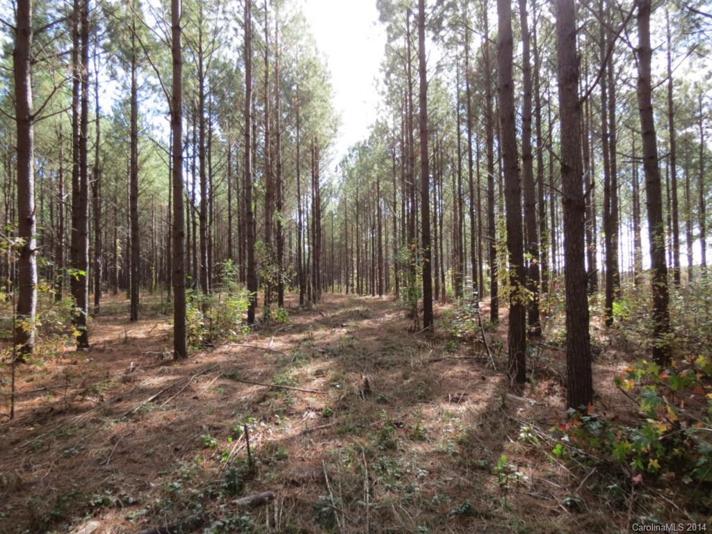 14-ac 14-ac Ferndale Road McConnells, SC 29726 - Photo 10 of 24