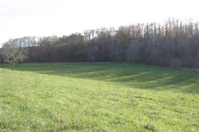 0 Green Post Ranch, Unit PH2 Seymour, MO 65746 - Photo 1 of 1 Primary Photo