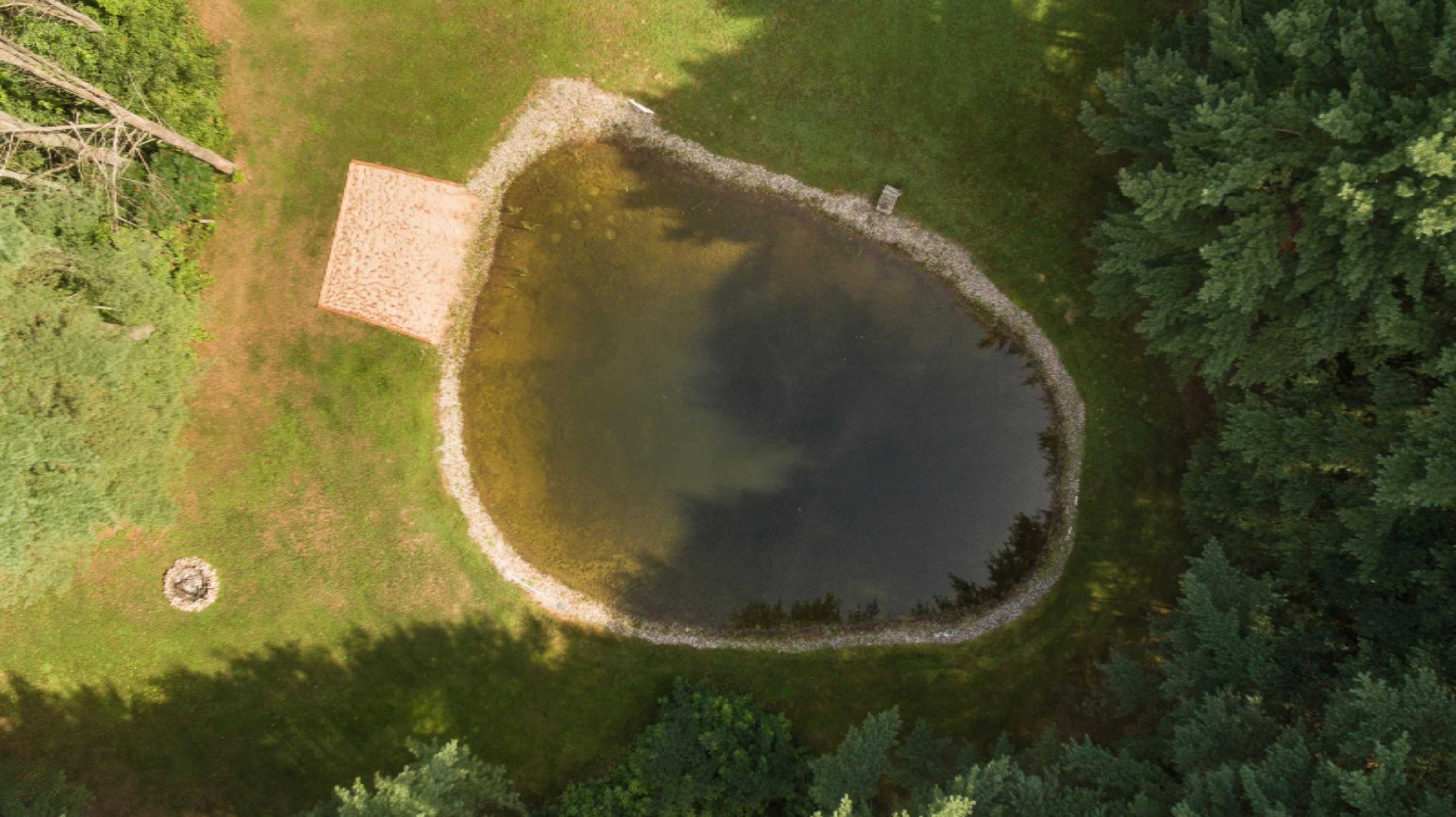 9800 North Bailey Road Howard City, MI 49329 - Photo 29 of 36 Pond