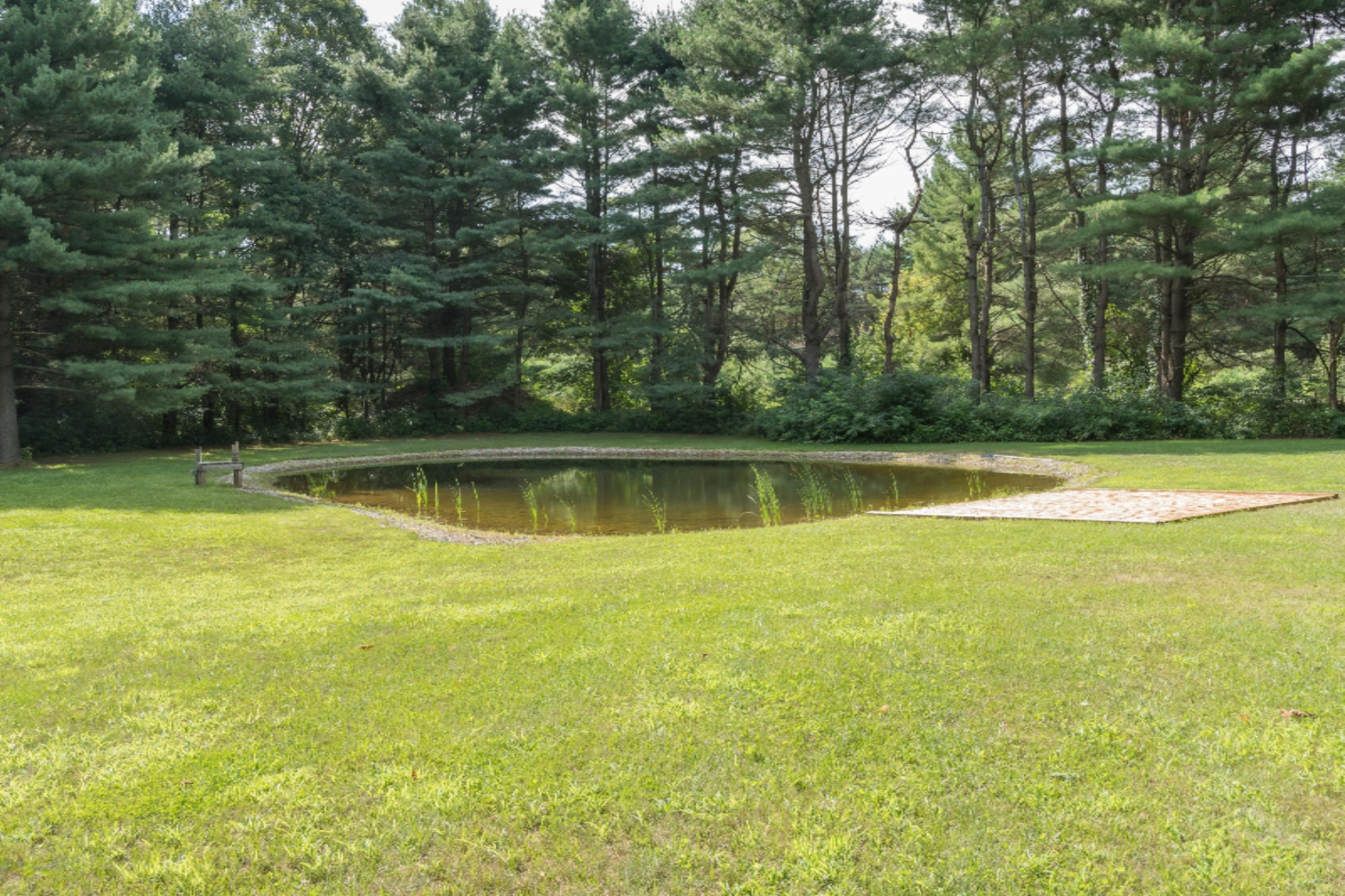 9800 North Bailey Road Howard City, MI 49329 - Photo 31 of 36 Pond