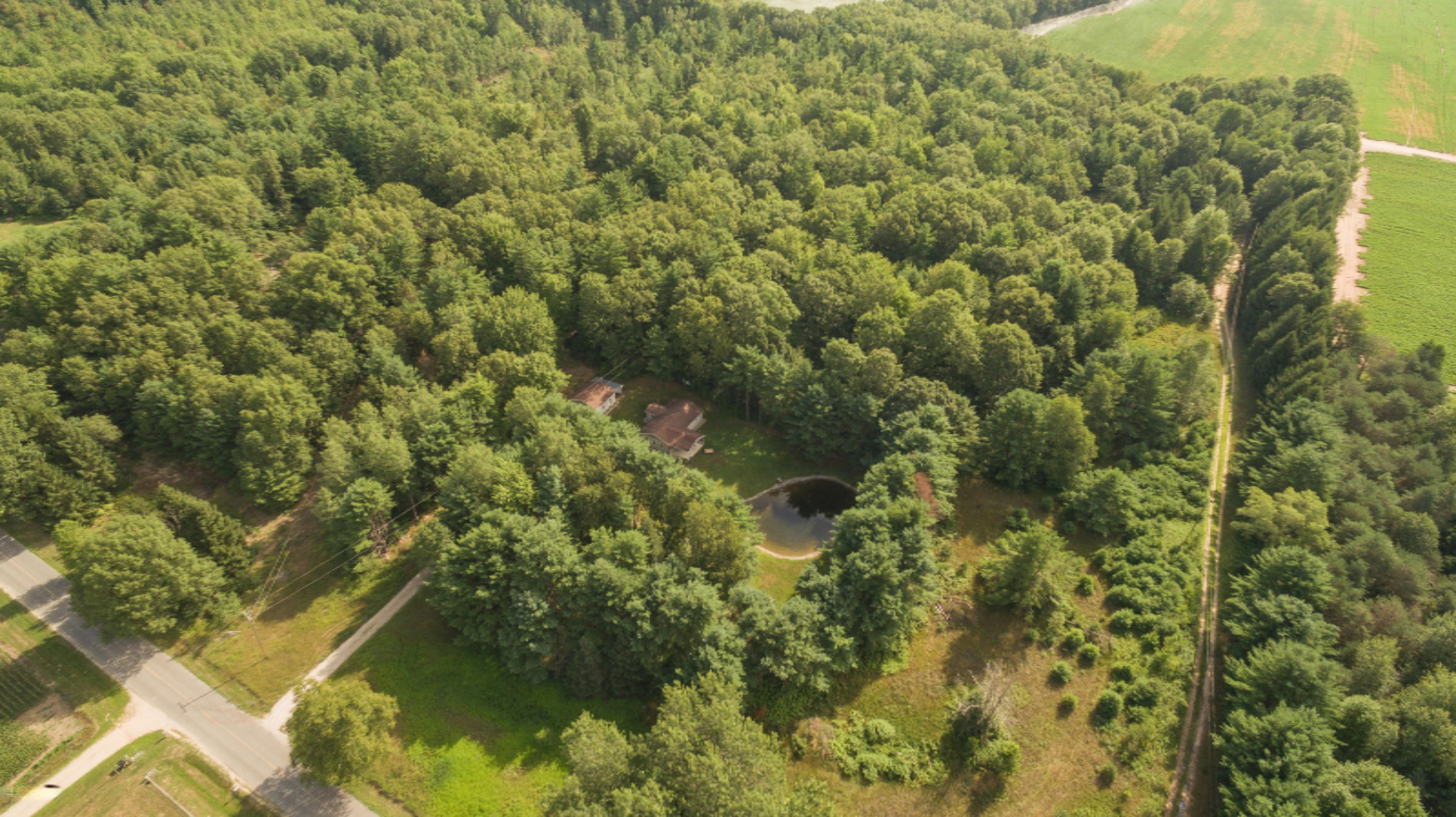 9800 North Bailey Road Howard City, MI 49329 - Photo 36 of 36 Overhead