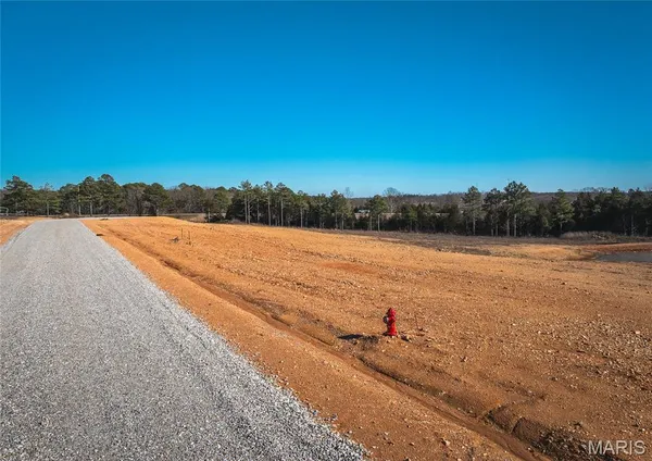 $40,000 | 100 Clementine Lane, Houston, MO 65483