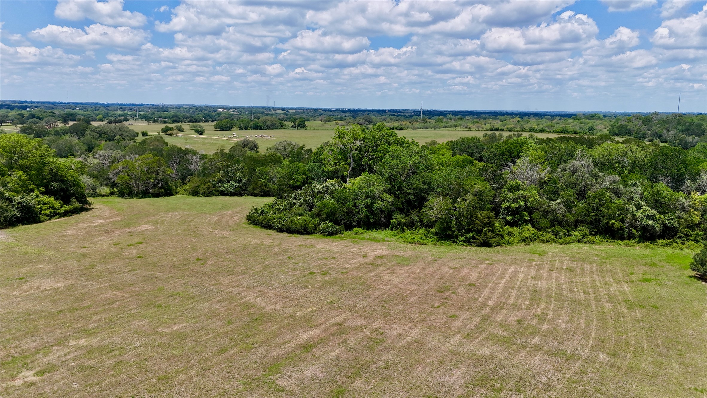 1049 Muehr Road Weimar, TX 78962 - Photo 21 of 24 a view of a garden with an outdoor space
