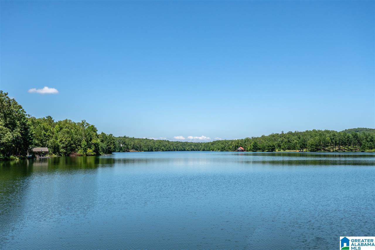 827 Colleton Forest Way, Unit 20 ACRES Vincent, AL 35178 - Photo 7 of 31