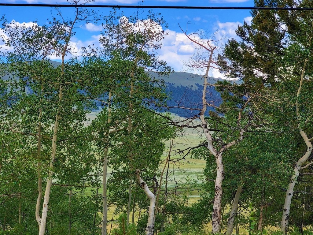 2931 Redhill Road Fairplay, CO 80440 - Photo 11 of 31 Gallery Image 11