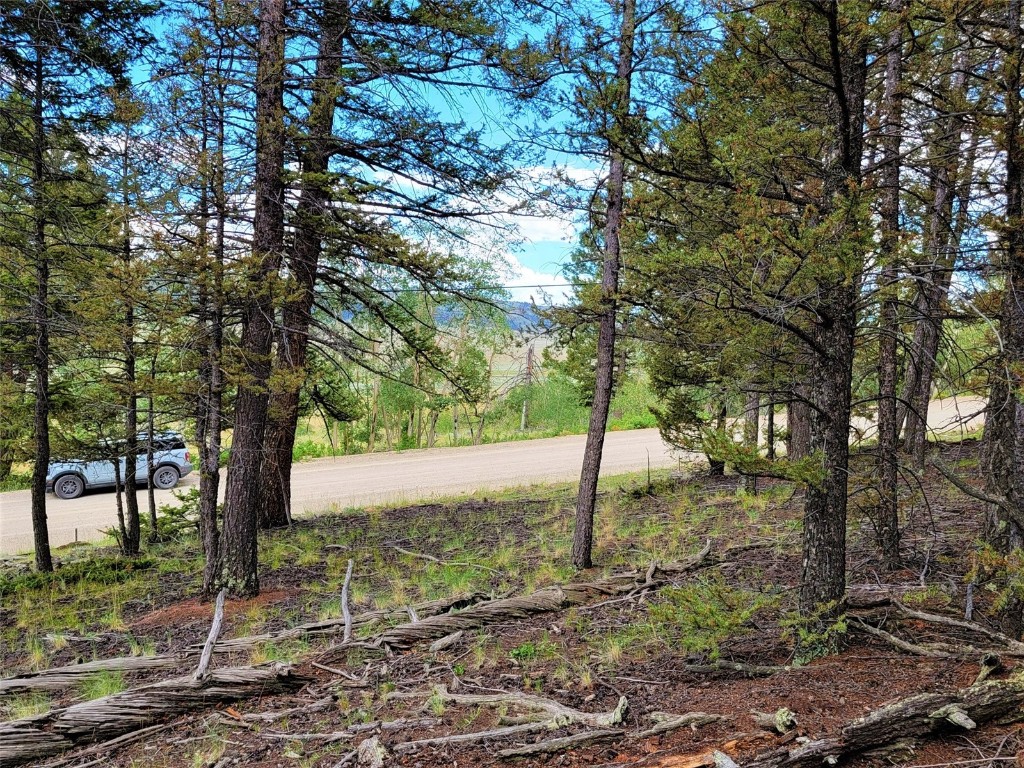 2931 Redhill Road Fairplay, CO 80440 - Photo 15 of 31 Gallery Image 15