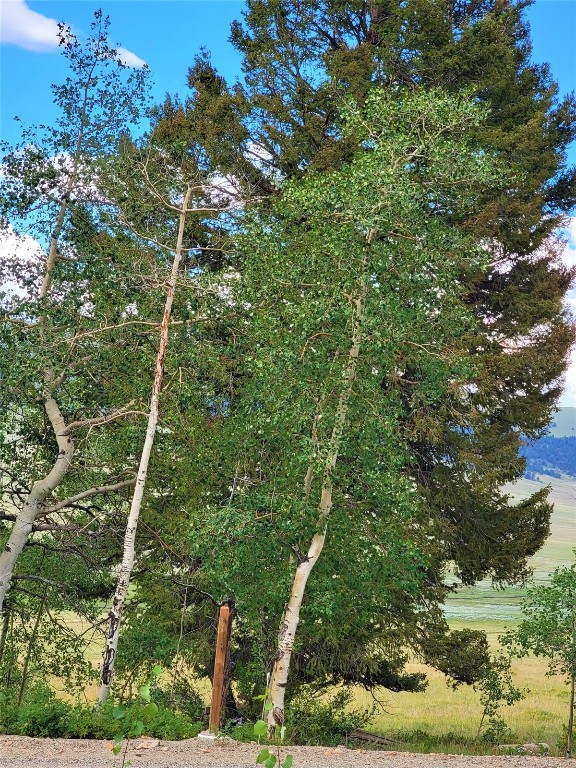 2931 Redhill Road Fairplay, CO 80440 - Photo 23 of 31 Gallery Image 23