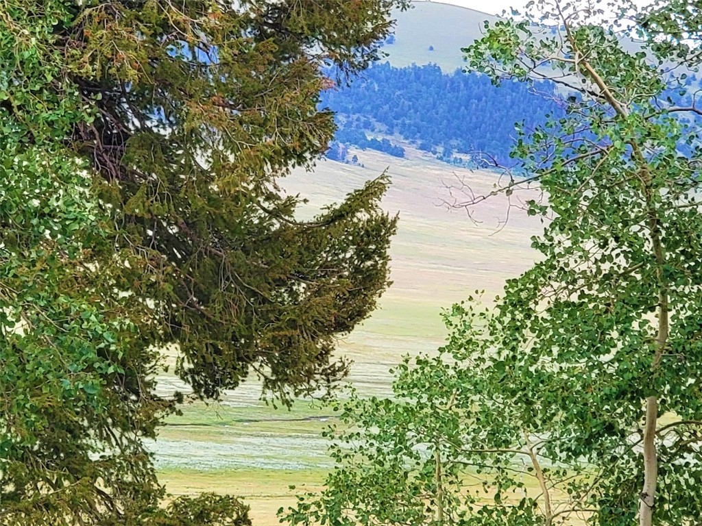 2931 Redhill Road Fairplay, CO 80440 - Photo 25 of 31 Gallery Image 25