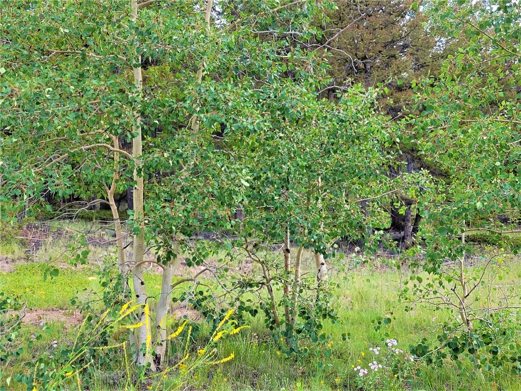 2931 Redhill Road Fairplay, CO 80440 - Photo 27 of 31 Gallery Image 27