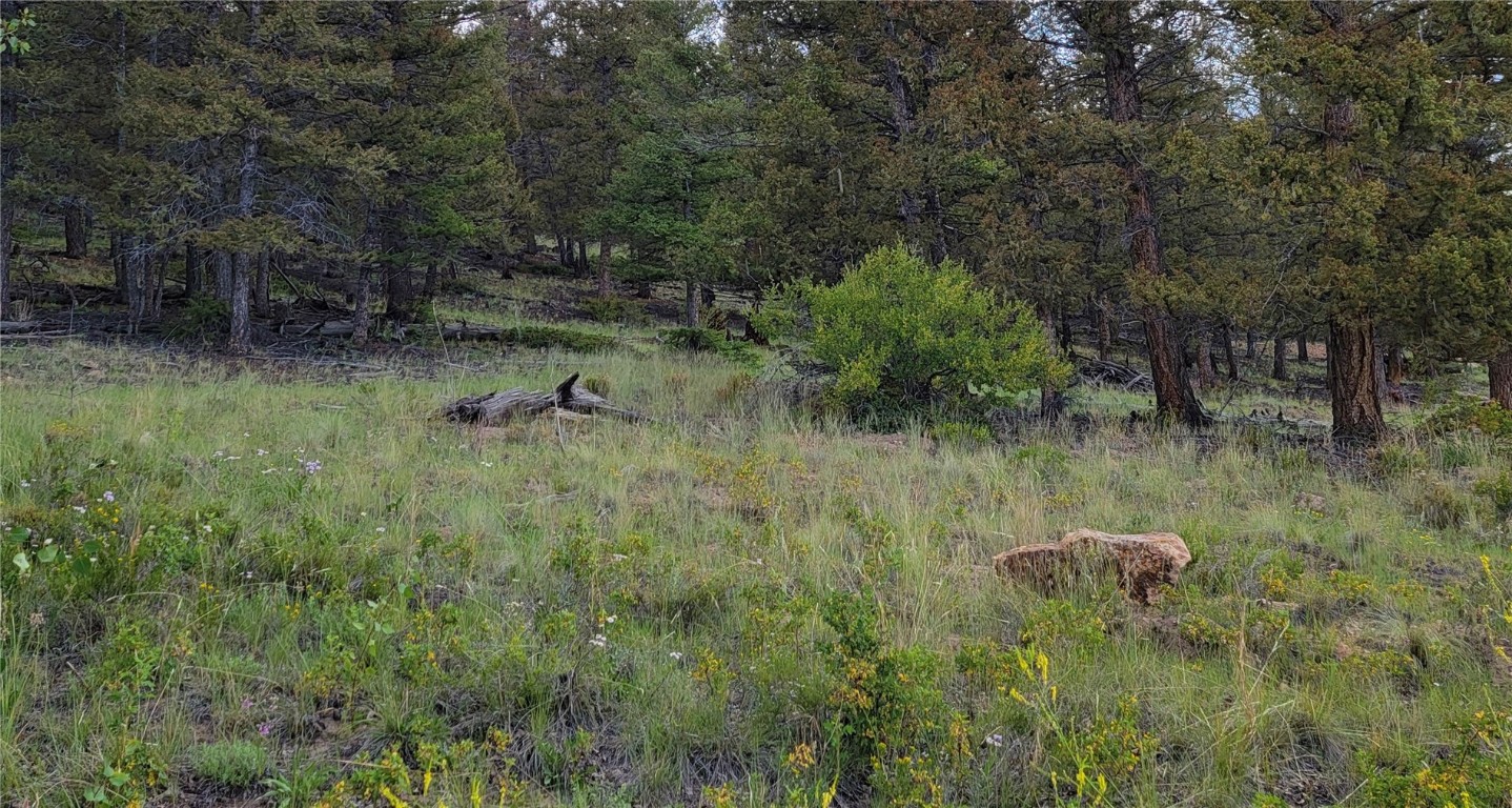 2931 Redhill Road Fairplay, CO 80440 - Photo 28 of 31 Gallery Image 28
