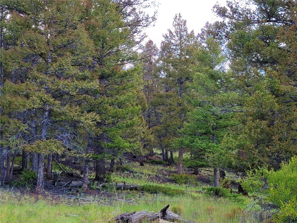2931 Redhill Road Fairplay, CO 80440 - Photo 29 of 31 Gallery Image 29