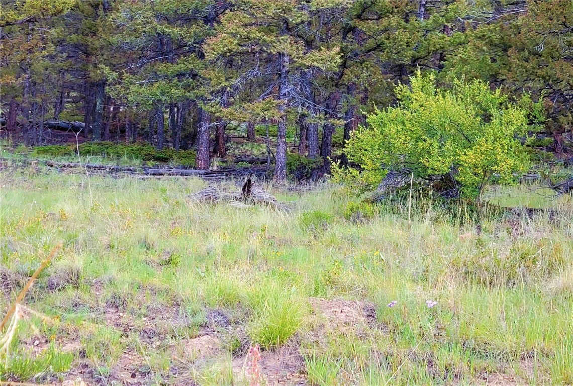 2931 Redhill Road Fairplay, CO 80440 - Photo 30 of 31 Gallery Image 30