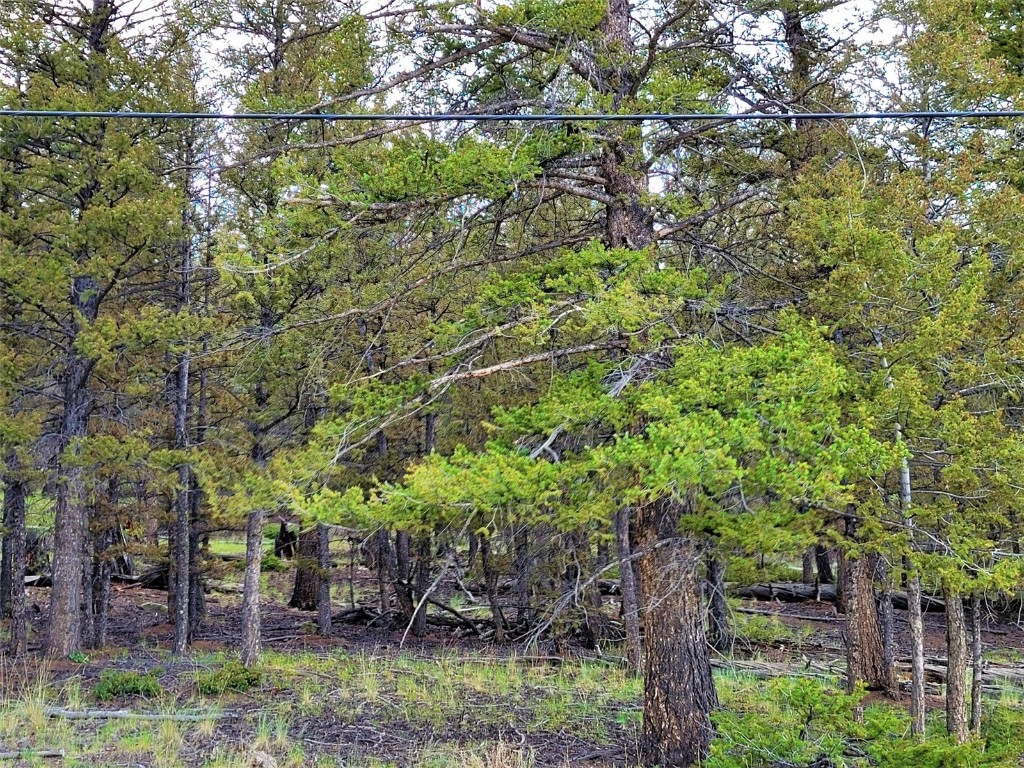 2931 Redhill Road Fairplay, CO 80440 - Photo 3 of 31 Gallery Image 3
