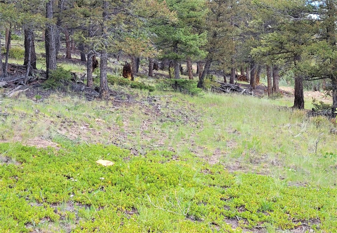 2931 Redhill Road Fairplay, CO 80440 - Photo 6 of 31 Gallery Image 6