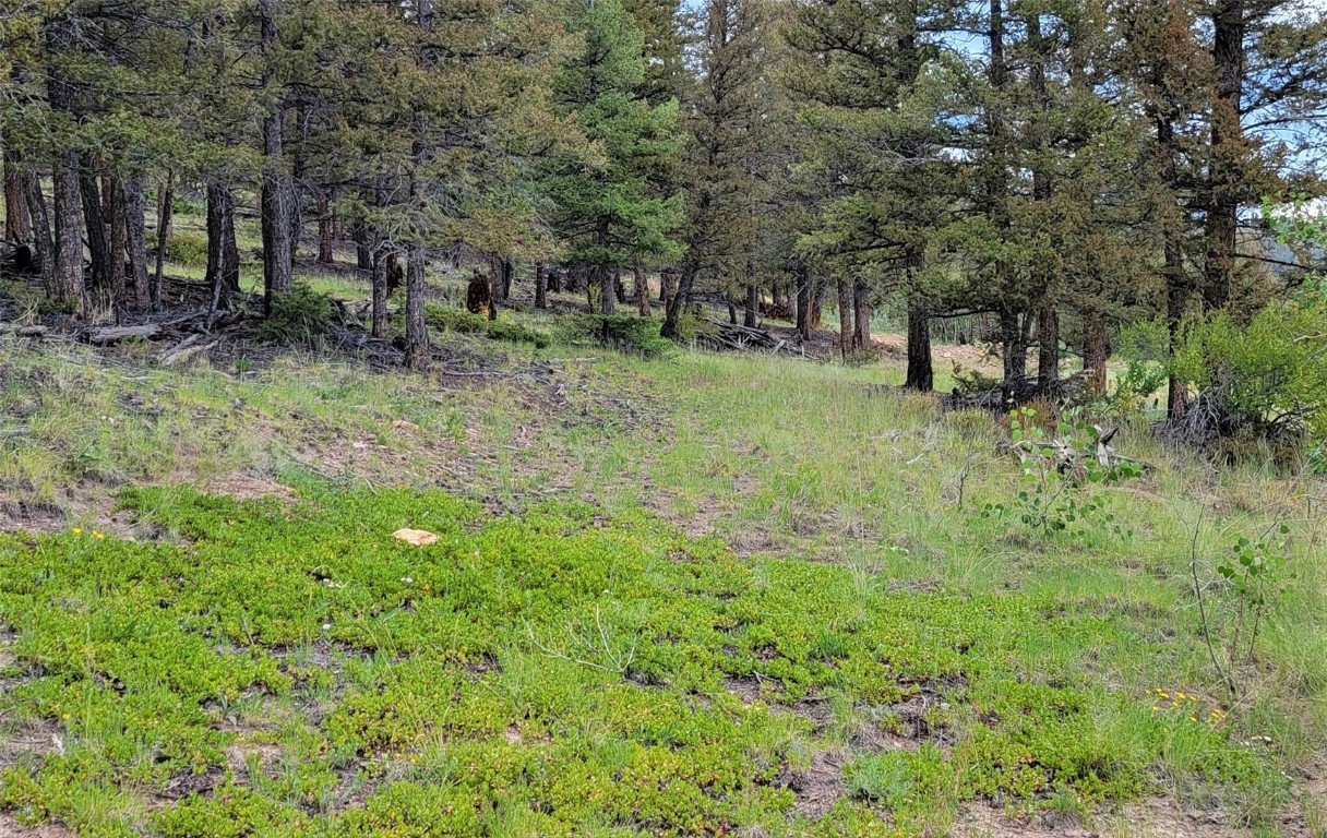 2931 Redhill Road Fairplay, CO 80440 - Photo 7 of 31 Gallery Image 7