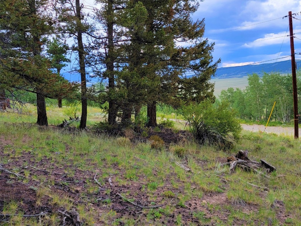 2931 Redhill Road Fairplay, CO 80440 - Photo 10 of 31 Gallery Image 10