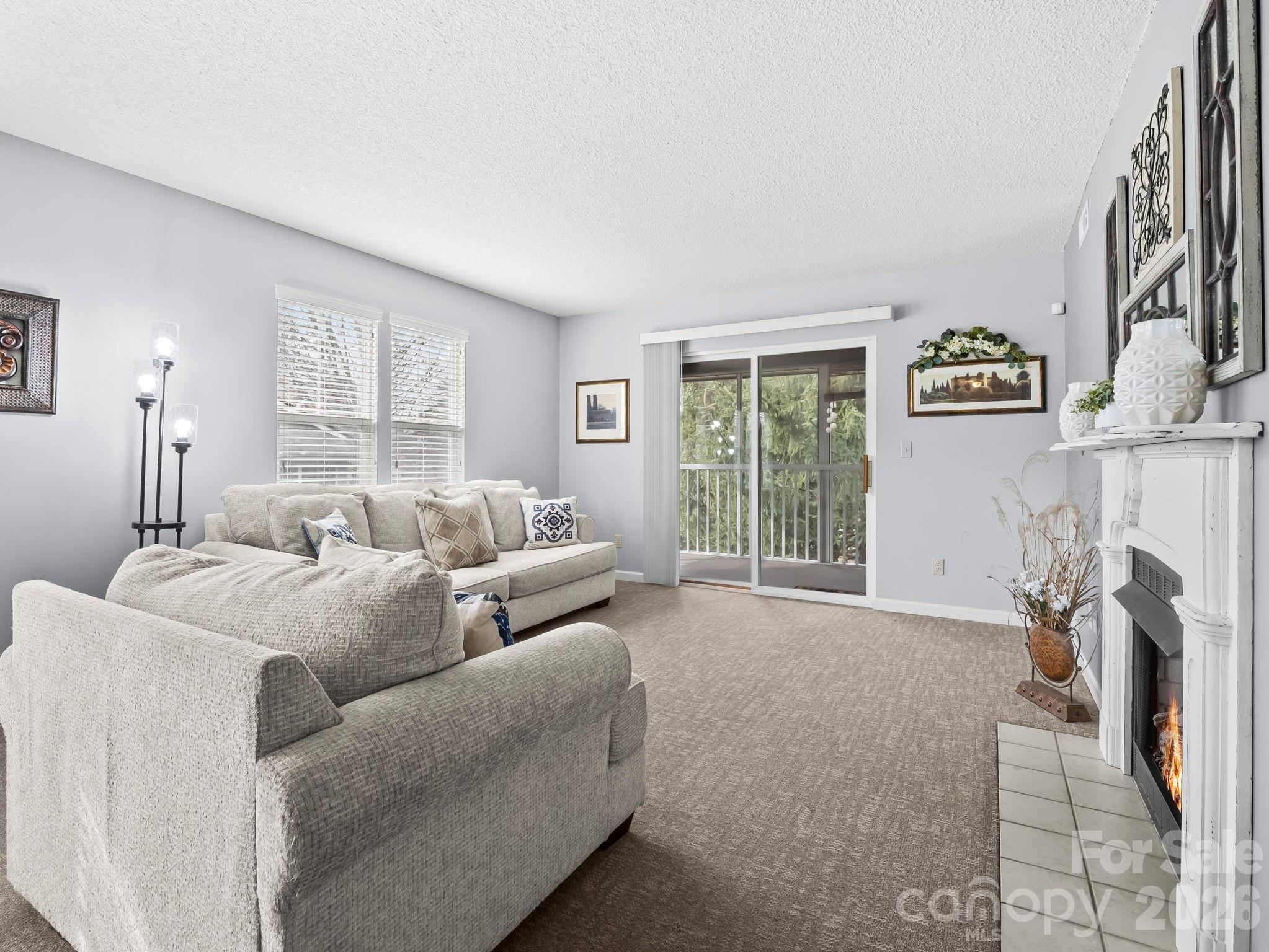 1002 Deermouse Way Hendersonville, NC 28792 - Photo 2 of 42 a living room with furniture and a fireplace