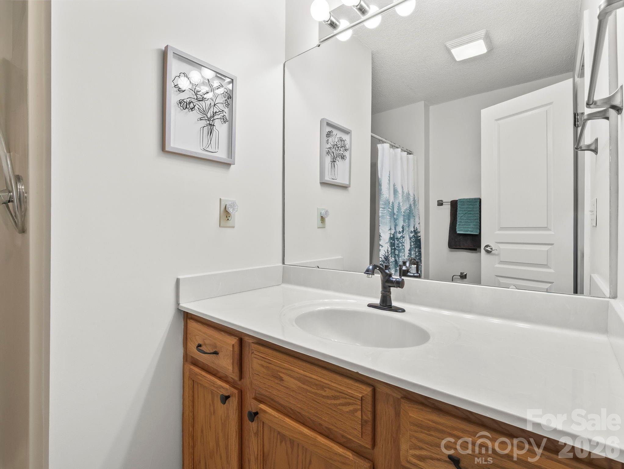 1002 Deermouse Way Hendersonville, NC 28792 - Photo 22 of 42 a bathroom with a sink and a mirror