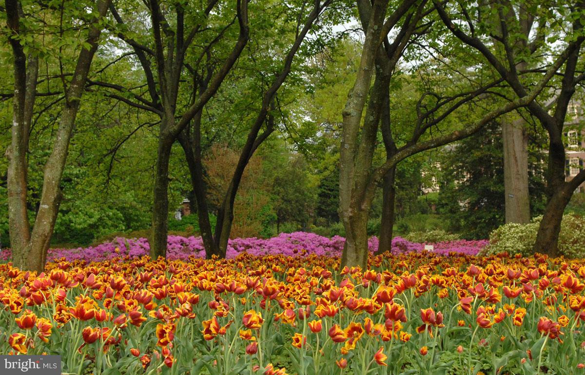 217 Wendover Road Baltimore, MD 21218 - Photo 8 of 73 Beautiful Sherwood Gardens just 2 blocks away