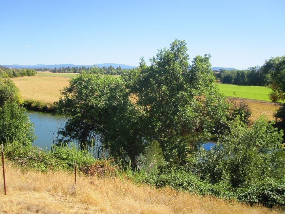 45541 Pittville Road McArthur, CA 96056 - Photo 13 of 26 a view of a lake with houses in the back