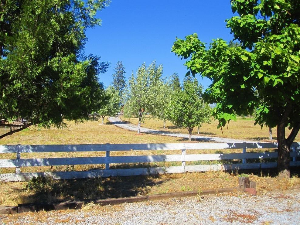45541 Pittville Road McArthur, CA 96056 - Photo 15 of 26 a view of a swimming pool with a yard