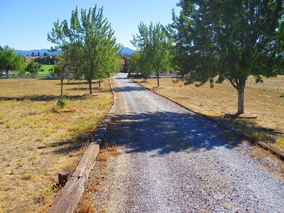 45541 Pittville Road McArthur, CA 96056 - Photo 16 of 26 a view of a yard with trees