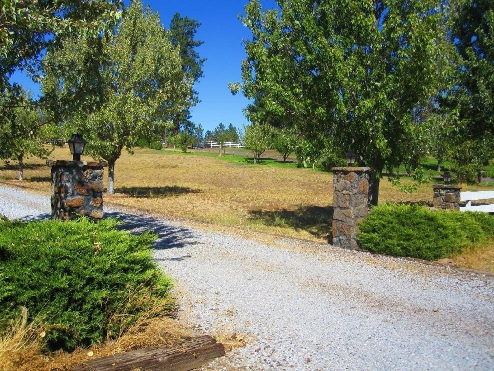45541 Pittville Road McArthur, CA 96056 - Photo 18 of 26 a view of a yard with plants and a large tree