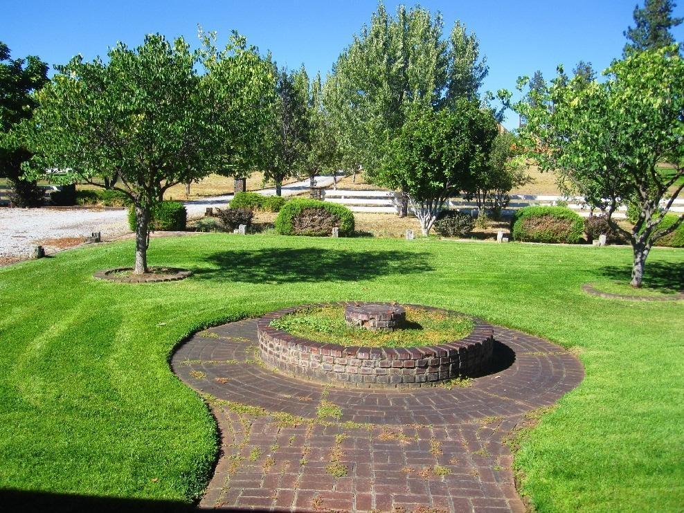 45541 Pittville Road McArthur, CA 96056 - Photo 9 of 26 a view of a backyard with green space