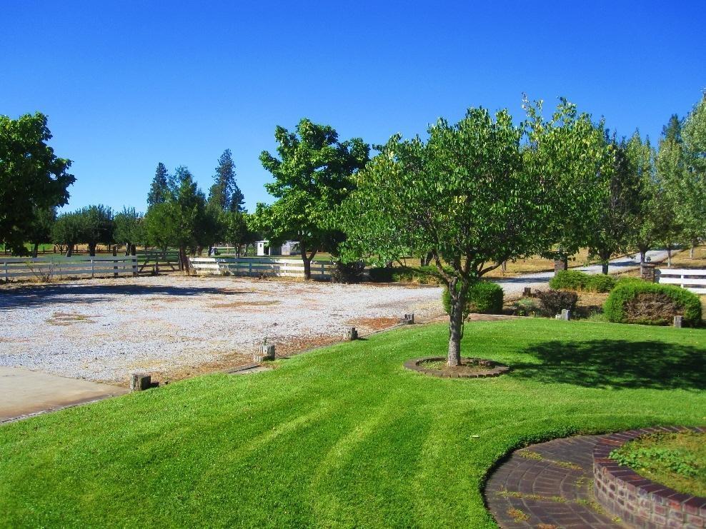 45541 Pittville Road McArthur, CA 96056 - Photo 10 of 26 a view of a park