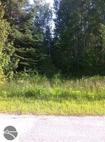 0 Stoney Point Road Cheboygan, MI 49721 - Photo 17 of 19 1726825-16.JPG