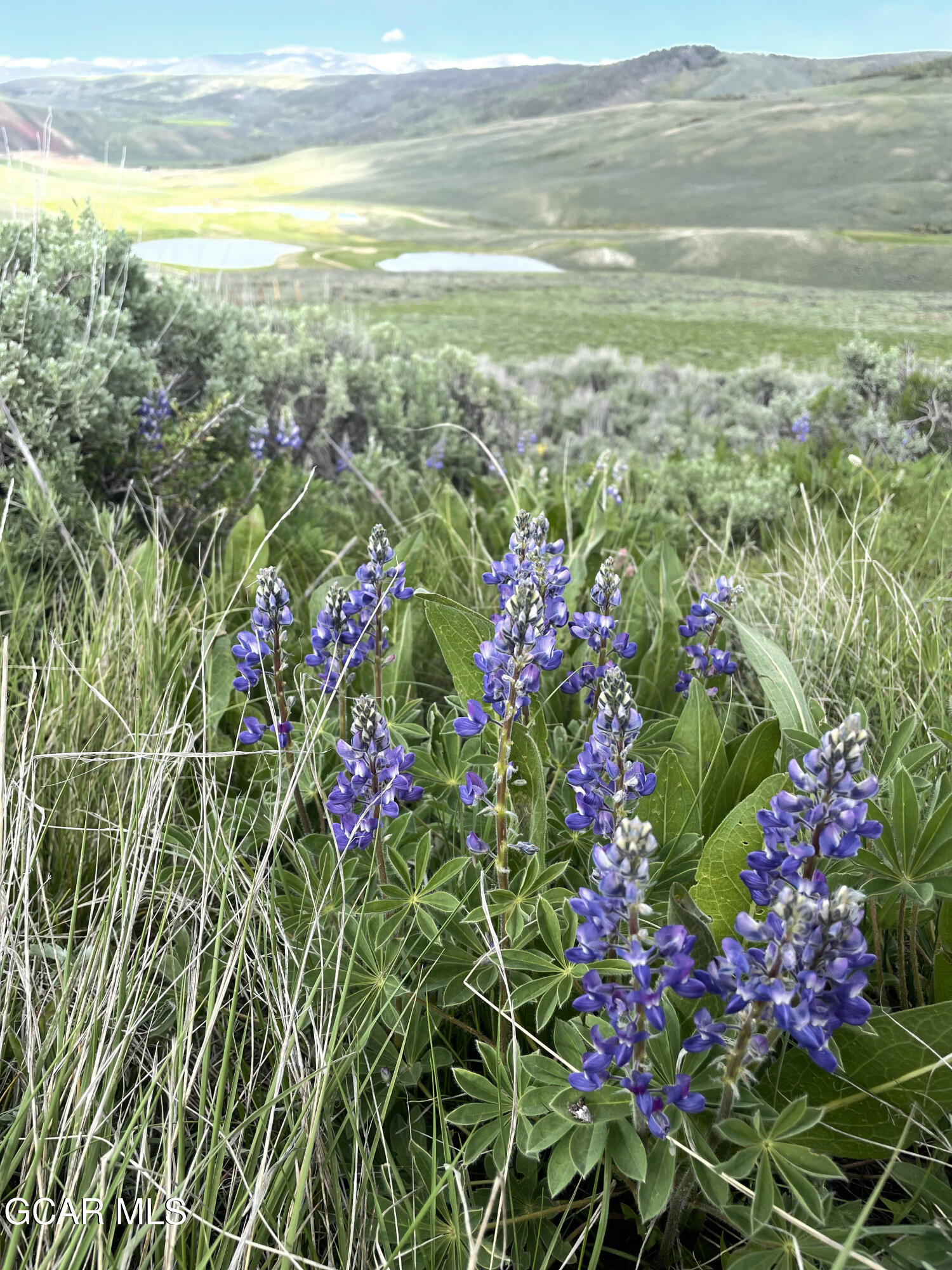 152 Village Road, Unit B105 Granby, CO 80446 - Photo 23 of 24 flowers