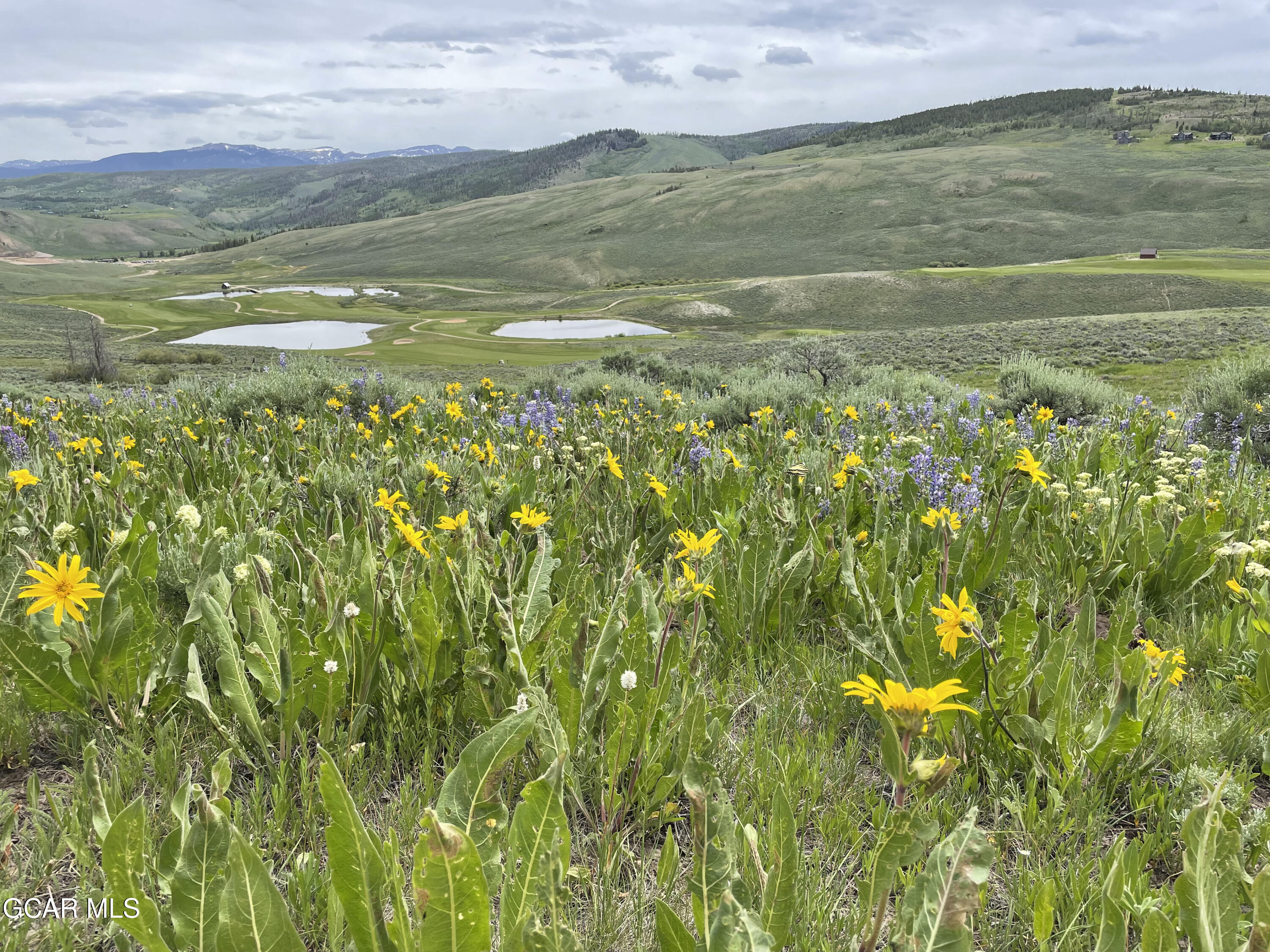 152 Village Road, Unit B105 Granby, CO 80446 - Photo 24 of 24 flowers2