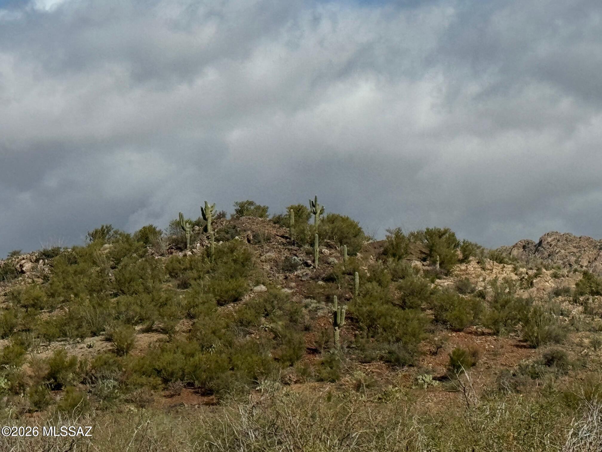 17027 South Sierrita Mountain Road Tucson, AZ 85736 - Photo 3 of 34 a view of a bunch of trees in a field