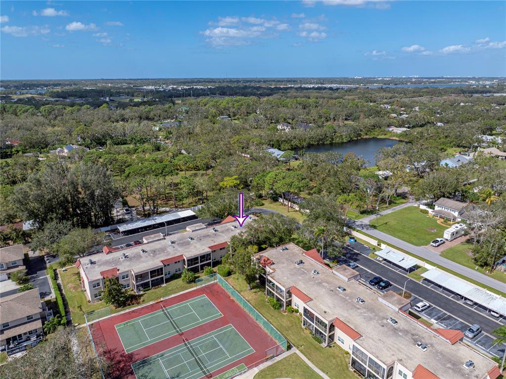 9700 Starkey Road, Unit 312 Seminole, FL 33777 - Photo 43 of 44