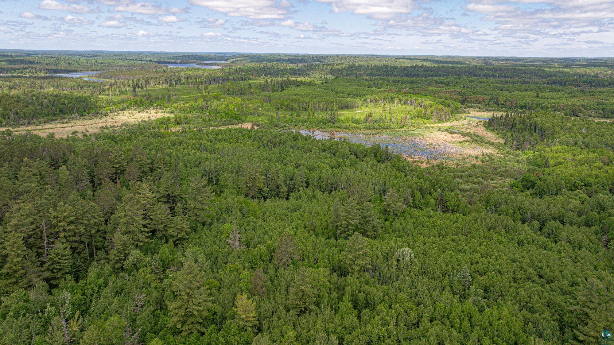 7280 Far North Road Buyck, MN 55771 - Photo 95 of 98