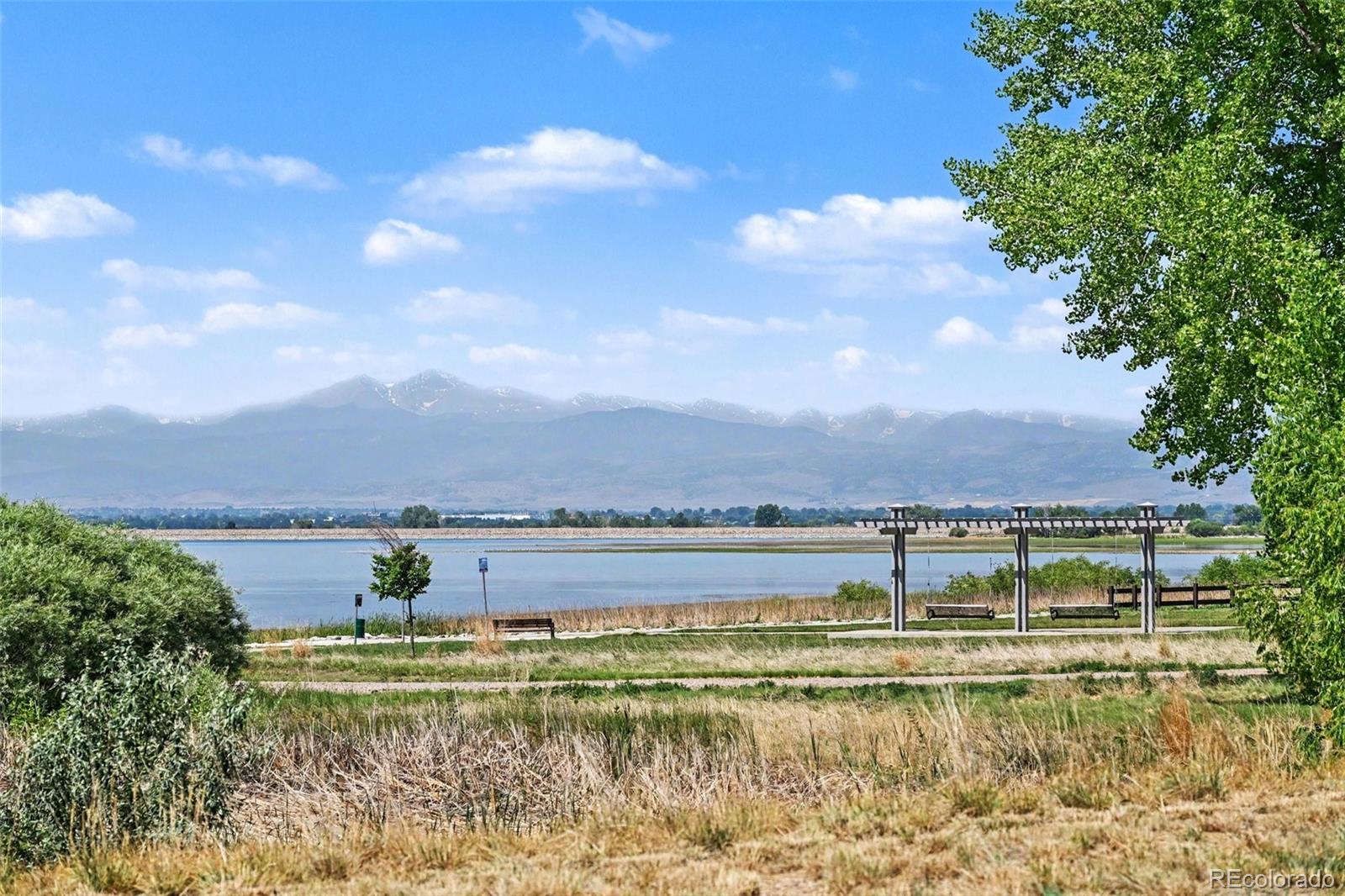 7139 Stratus Road Timnath, CO 80547 - Photo 17 of 17