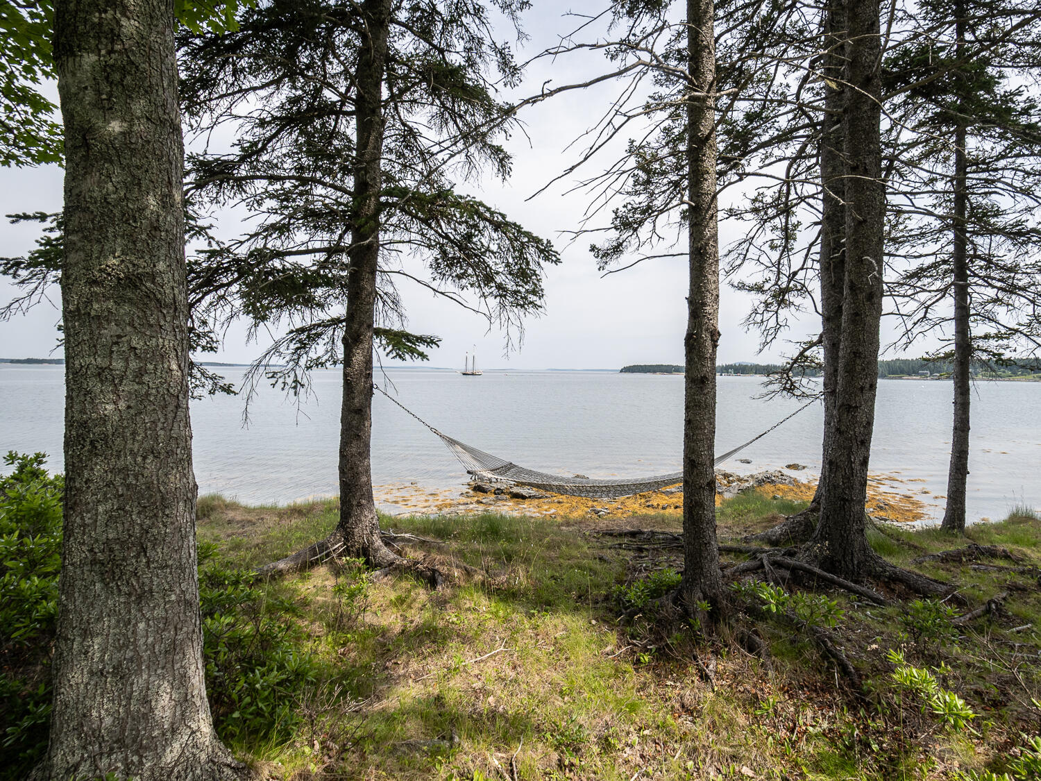 43 Steamboat Road Swans Island, ME 04685 - Photo 35 of 43 Waterfront