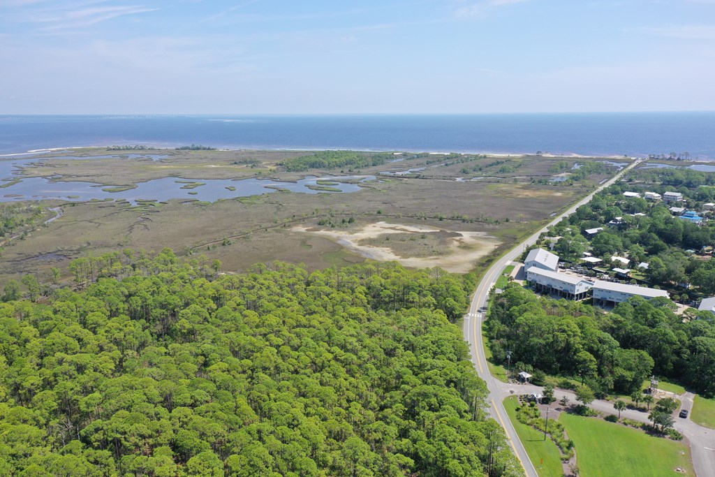 0 Mashes Sands Road Ochlockonee Bay, FL 32346 - Photo 10 of 24 Gallery Image 10