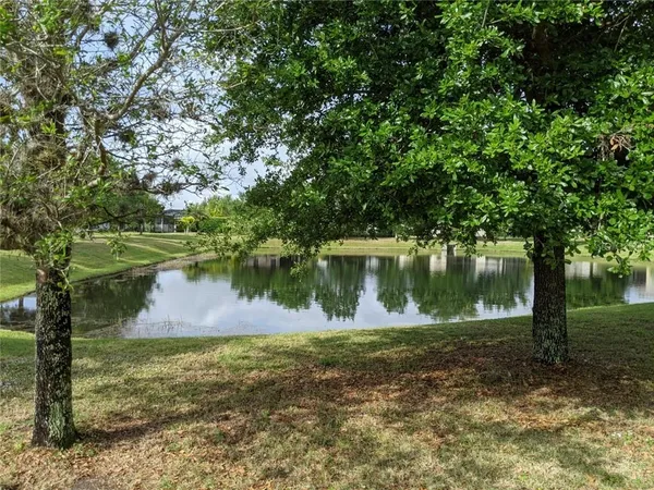 a view of a lake in between two large trees