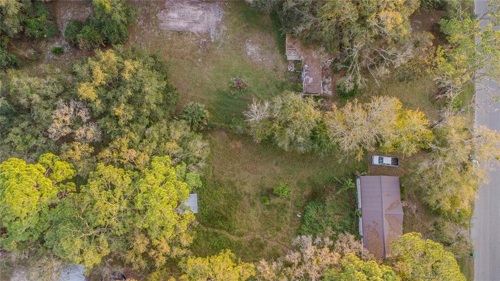 1255 St Nicholas Avenue Christmas, FL 32709 - Photo 6 of 14