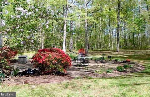 4601 Weston Road Catlett, VA 20119 - Photo 46 of 47 Gallery Image 46