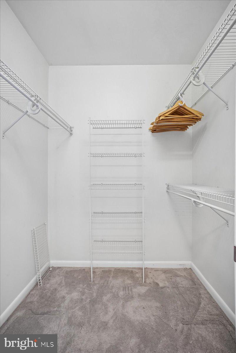 851 North Glebe Road, Unit 2015 Arlington, VA 22203 - Photo 26 of 81 Walk in Closet