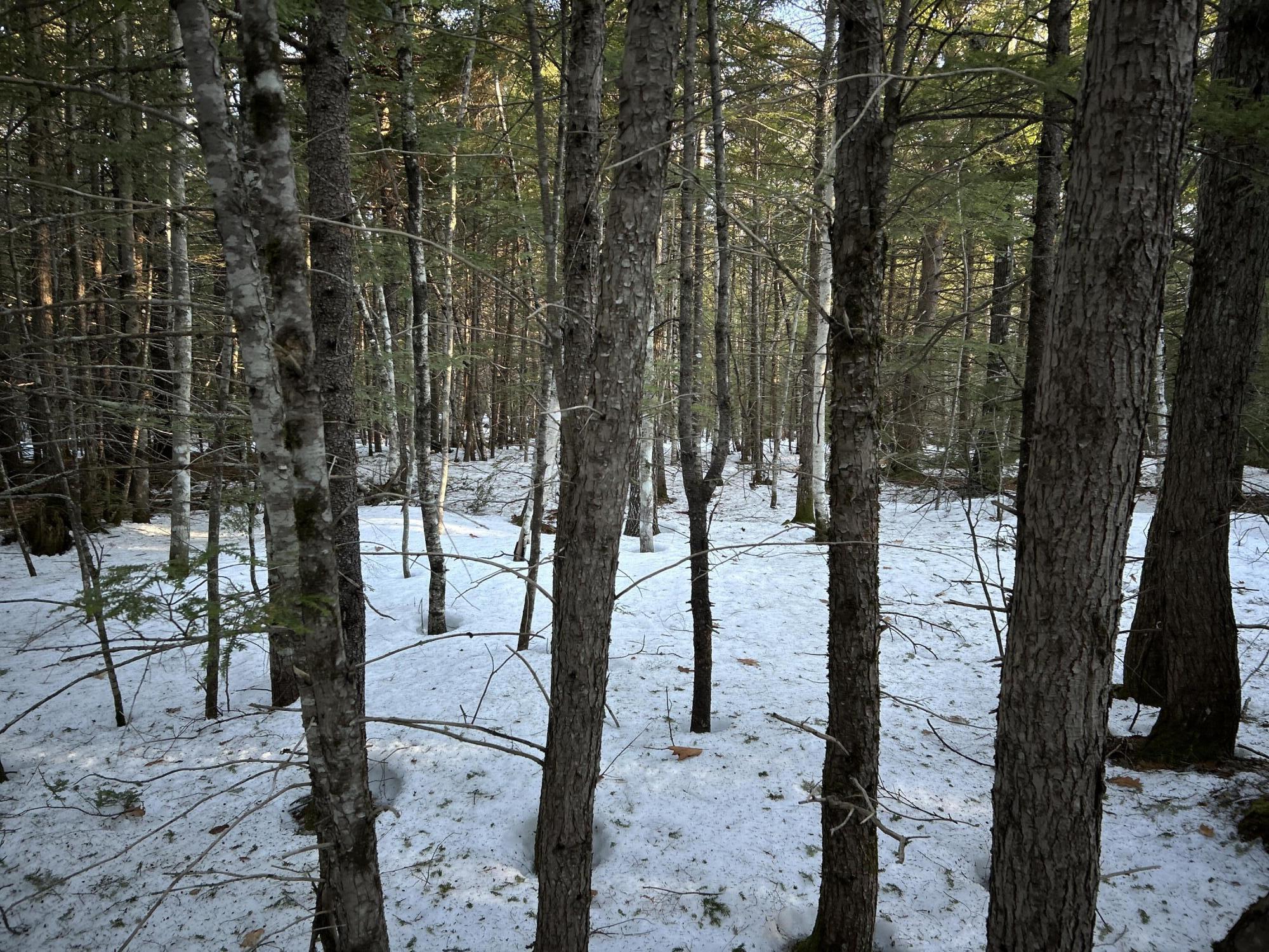 Map13-lot11 Field View Road Fryeburg, ME 04037 - Photo 25 of 37